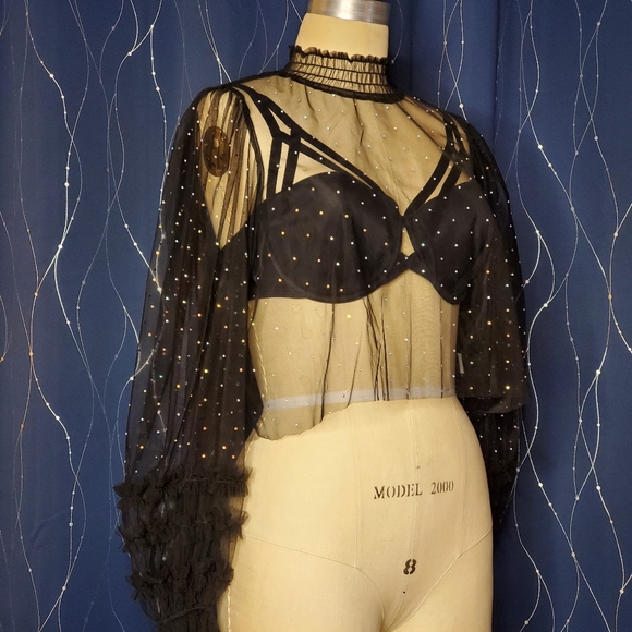 Crystal Studded Sheer Ruffled Blouse - Picture 3 of 6